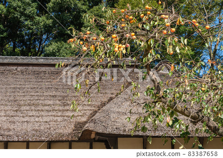 老私人住宅花園 老私人住宅花園 83387658