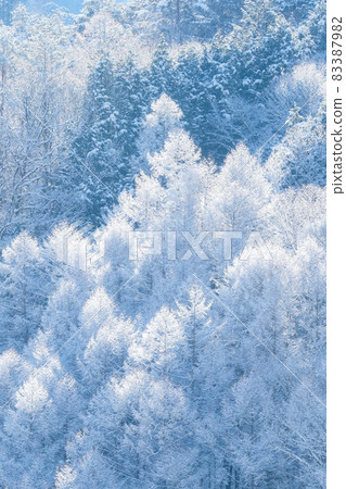 The winter The winter 83387982