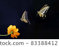 autumn 83388412