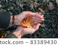 Colorful maple leaf on woman's hands 83389430