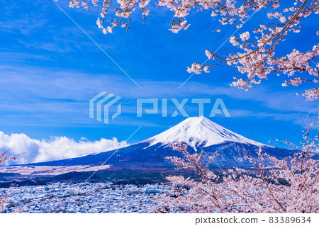（山梨縣）日本美景、櫻花與雪景、新倉山淺間公園櫻花與富士山 83389634