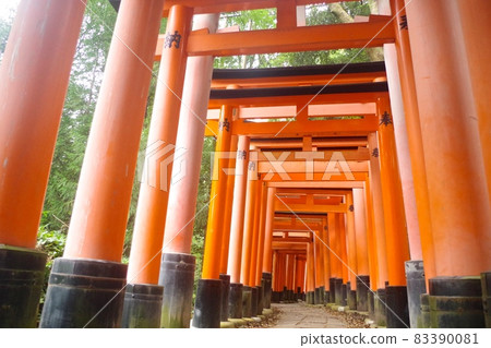 Senbon Torii Senbon Torii 83390081