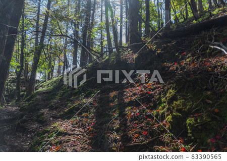 Mountain road Mountain road 83390565