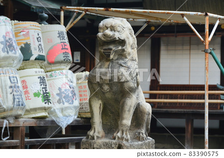Komainu (Agata statue) (Osaka Tenmangu Shrine / Kita-ku, Osaka City, Osaka Prefecture) 83390575