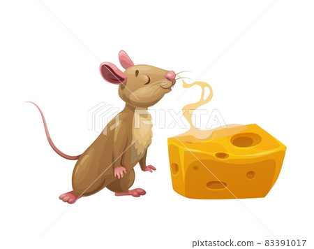 Cartoon mouse and steaming cheese. Cute vector rat character enjoy sniffing large piece or slice of cheese with holes. Isolated comic rodent, funny animal or pet, fairy tale book or game personage Cartoon mouse and steaming cheese. Cute vector rat character enjoy sniffing large piece or slice of cheese with holes. Isolated comic rodent, funny animal or pet, fairy tale book or game personage 83391017