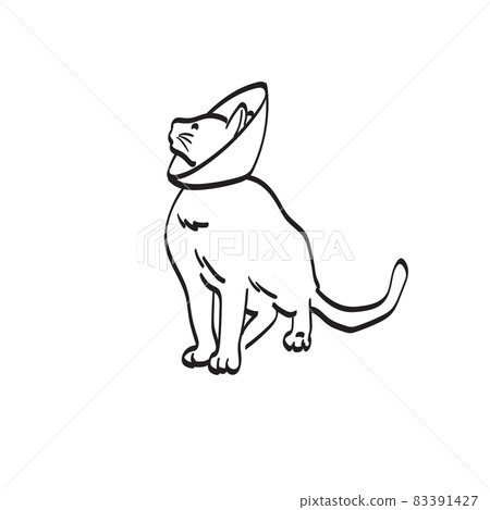 cat in plastic protective collar illustration vector isolated on white background line art. cat in plastic protective collar illustration vector isolated on white background line art. 83391427