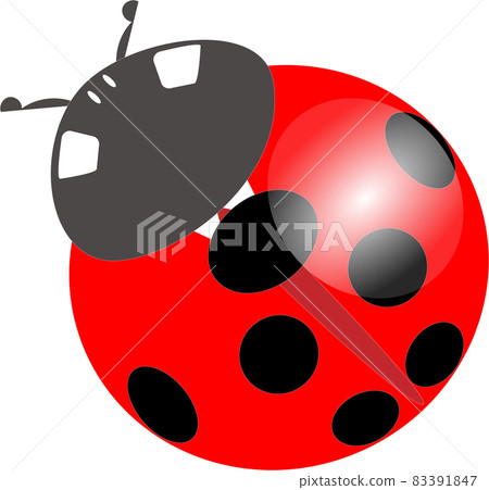 Illustration of a bright red ladybug 83391847