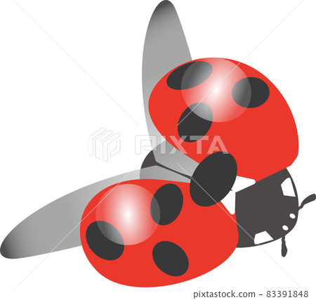 Illustration of a red ladybird spreading its wings Illustration of a red ladybird spreading its wings 83391848