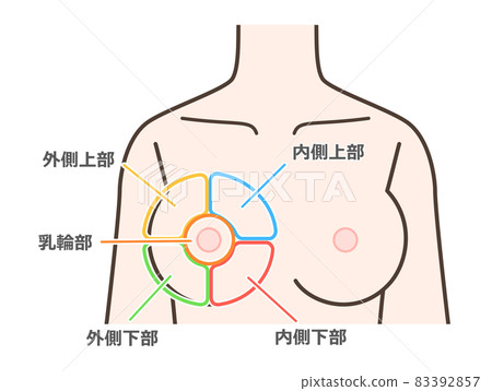 Breast disease classification illustration 83392857