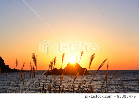 Shakotan Peninsula, Hokkaido Sea of Japan & Sunset & Sunny & R229 & Miscanthus sinensis Shakotan Peninsula, Hokkaido Sea of Japan & Sunset & Sunny & R229 & Miscanthus sinensis 83393479