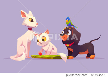 Home pets white cat, cute kitten parrot and dog 83393545
