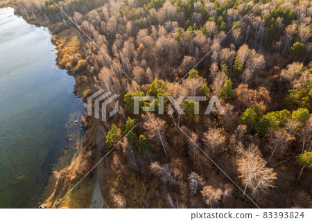 Colorful autumn forest with trees on the shore of a blue lake - top aerial view. Colorful autumn forest with trees on the shore of a blue lake - top aerial view. 83393824