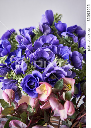 Set of white, pink and magenta flowers for Interior decorations. The work of the florist at a flower shop. Fresh cut flower. Set of white, pink and magenta flowers for Interior decorations. The work of the florist at a flower shop. Fresh cut flower. 83393923