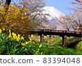 Spring of Oshino 83394048