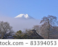 Fuji of Oshino 83394053