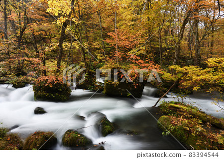 Okuseirase autumn leaves Okuseirase autumn leaves 83394544