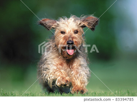 Running killen 83394785