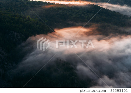 Fog in the mountains at sunrise. Morning fog in the mountains at dawn. Clouds in the mountains. Morning fog after rain. Mountains at dawn. Milk rivers. Copy space Fog in the mountains at sunrise. Morning fog in the mountains at dawn. Clouds in the mountains. Morning fog after rain. Mountains at dawn. Milk rivers. Copy space 83395101