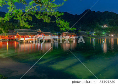 World heritage Miyajima at night World heritage Miyajima at night 83395280