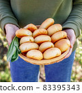 Fresh baked yellow pies in hand of woman 83395343