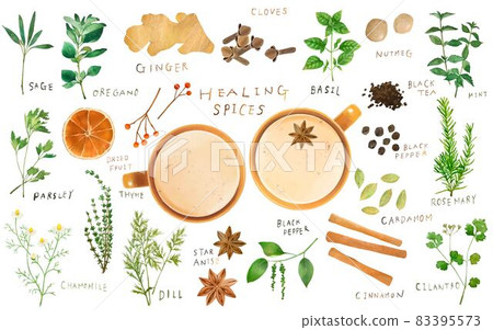 Fashionable set of herb collection and spices that can be used in the kitchen Vector illustration material 83395573