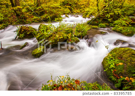 Aomori Prefecture Autumn's Oirase stream Aomori Prefecture Autumn's Oirase stream 83395785
