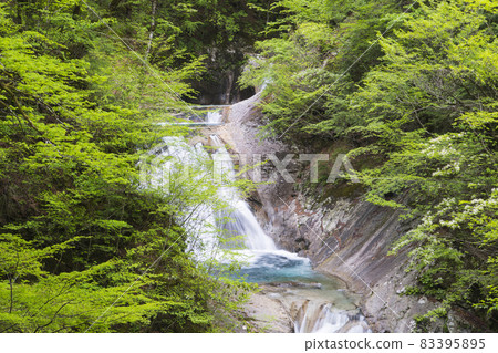 初夏的西澤溪谷七塚五階瀑布 83395895