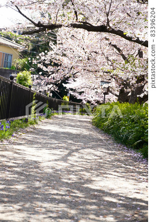 大堀川花道公園 大堀川花道公園 83396204