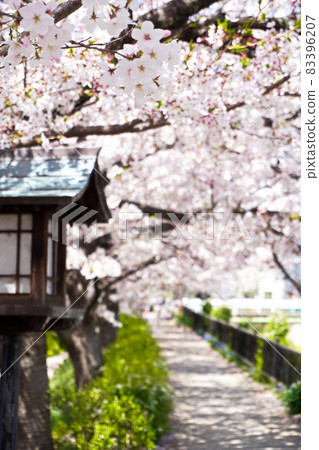 Ohorigawa Hananomichi Park Ohorigawa Hananomichi Park 83396207