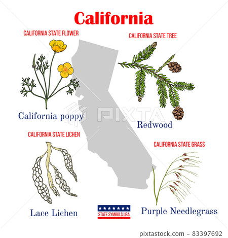 California. Set of USA official state symbols California. Set of USA official state symbols 83397692