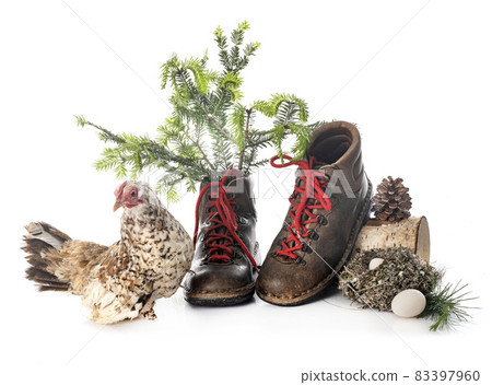 hiking shoes in studio hiking shoes in studio 83397960