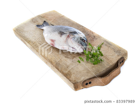 Gilt-head bream in studio 83397989