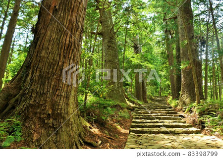 Wakayama Prefecture World Heritage Kumano Kodo Daimonzaka 83398799