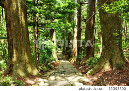 Wakayama Prefecture World Heritage Kumano Kodo Daimonzaka 83398800