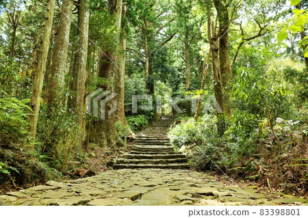 Wakayama Prefecture World Heritage Kumano Kodo Daimonzaka 83398801