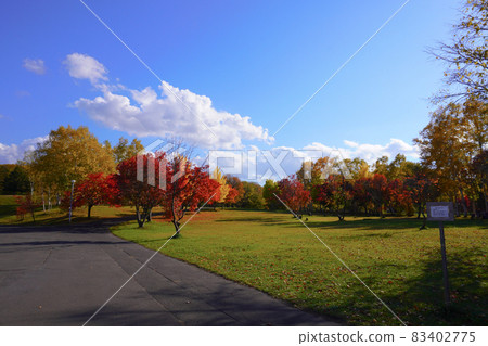 真駒內公園的紅葉(北海道札幌) 真駒內公園的紅葉(北海道札幌) 83402775