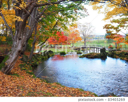 Superb view of Hokkaido Autumn Niseko Kyogoku Town Fukidashi Park 83403269