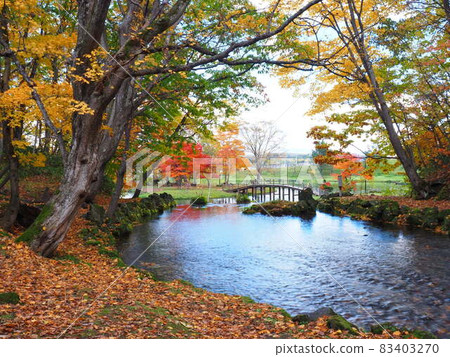 Superb view of Hokkaido Autumn Niseko Kyogoku Town Fukidashi Park 83403270
