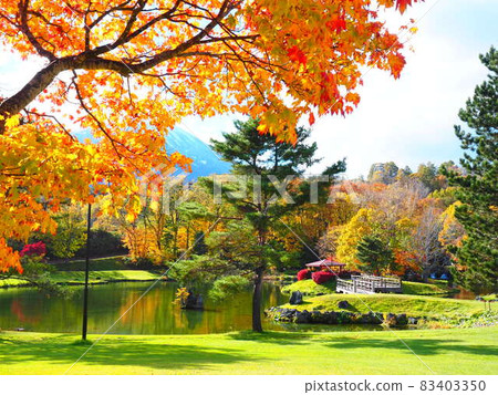Superb view of Hokkaido Autumn Niseko Kyogoku Town Fukidashi Park 83403350