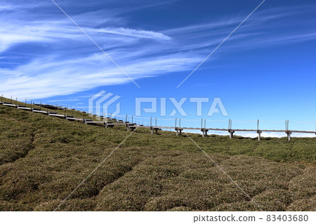 Walking along the wooden path at the top of the mountain, Mt. Tsurugi Autumn (100 famous mountains in Japan, Tokushima Prefecture) 83403680