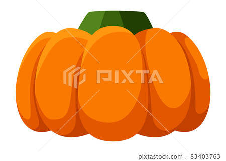 Pumpkin vegetable. Isolated fresh gourd, thanksgiving orange symbol 83403763