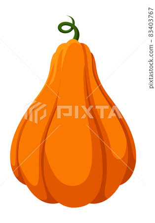 Isolated pumpkin. Gourds plant cute nature planting vegetable Isolated pumpkin. Gourds plant cute nature planting vegetable 83403767