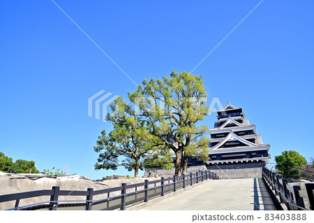 Kumamoto Castle Revived castle tower 83403888