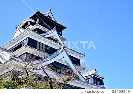 熊本城 復興的天守閣 熊本城 復興的天守閣 83403949