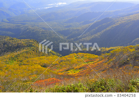 Kurodake's autumn leaves 83404258