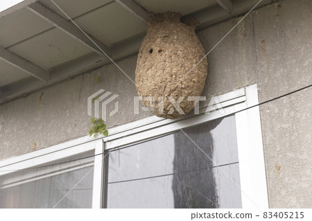 Nest of the Scyptome 83405215