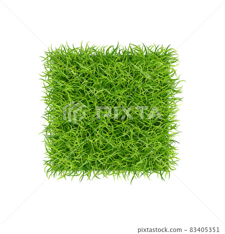 Curly Grass Realistic Composition Curly Grass Realistic Composition 83405351