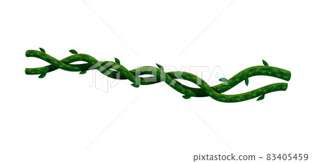 Tropical Liana Stalks Composition Tropical Liana Stalks Composition 83405459