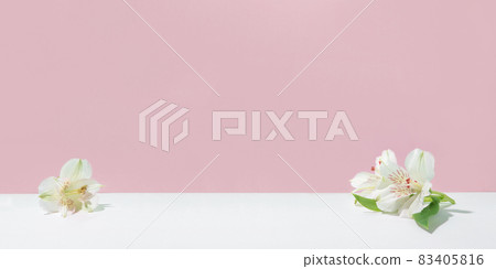 Natural light pink background with white flowers. Natural light pink background with white flowers. 83405816
