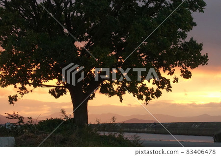 It is an evening view seen from Hikone Port in Hikone City, Shiga Prefecture. It is an evening view seen from Hikone Port in Hikone City, Shiga Prefecture. 83406478